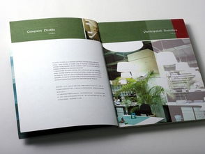 广州专业画册设计与软件开发 品牌建设的双翼